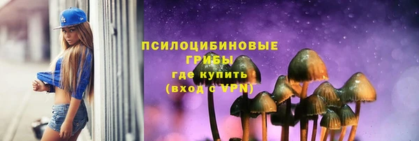 a pvp Богданович