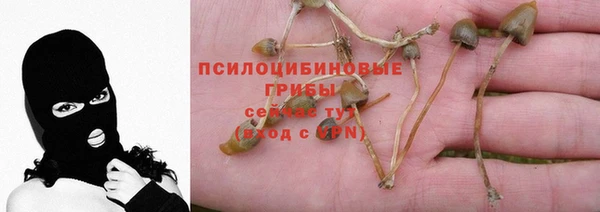 СК Богородск